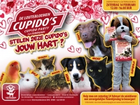 Cupido party promokaart