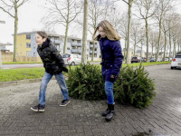 Kerstbomen en vuurwerk inleveren in Dordrecht