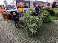 Kerstbomen en vuurwerk inleveren in Dordrecht