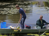 Veel dode vissen in het water van de Oostkil