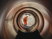 Aanleg Faunatunnel N3 ter hoogte van toerit Copernicusweg Dordrecht