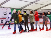 Winterwonderland met ijsbaan in Papendrecht