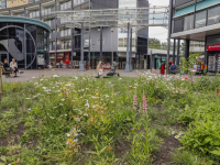 Vernieuwd Winkelcentrum Bieshof Dordrecht