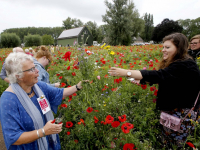 25 jaar vrijwilliger bij de Wereldwinkel Pluktuin Kromme Zandweg Dordrecht