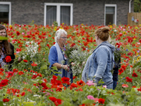 25 jaar vrijwilliger bij de Wereldwinkel Pluktuin Kromme Zandweg Dordrecht