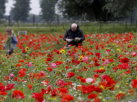 25 jaar vrijwilliger bij de Wereldwinkel Pluktuin Kromme Zandweg Dordrecht