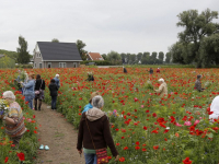 25 jaar vrijwilliger bij de Wereldwinkel Pluktuin Kromme Zandweg Dordrecht