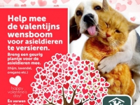 Louterbloemen affiche Valentijn actie 2017