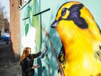 Kunstproject Vogelplein in volle gang Dordrecht