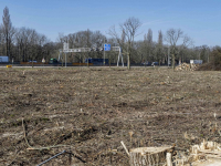 Bomen gekapt voor nieuwe woonwijk Amstelwijck Dordrecht