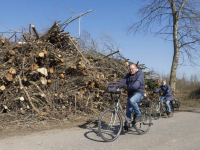 Bomen gekapt voor nieuwe woonwijk Amstelwijck Dordrecht