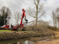 Bomen verwijderd om ruimte te maken nieuw geluidsscherm Wielwijk Dordrecht