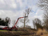 Bomen verwijderd om ruimte te maken nieuw geluidsscherm Wielwijk Dordrecht