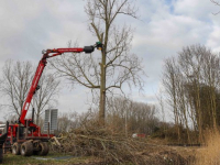 Bomen verwijderd om ruimte te maken nieuw geluidsscherm Wielwijk Dordrecht