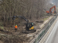 Bomen verwijderd om ruimte te maken nieuw geluidsscherm Wielwijk Dordrecht