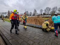 19122021-Voorbijgangers-slaan-alarm-na-vondst-schoenen-aan-waterkant-Dordrecht-Stolkfotografie