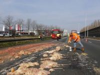 20161003 Slachtafval van vrachtwagen gevallen A16 Dordrecht Tstolk 004