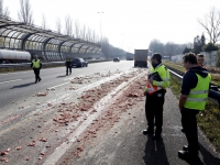 20161003 Slachtafval van vrachtwagen gevallen A16 Dordrecht Tstolk 005
