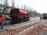 20161003 Slachtafval van vrachtwagen gevallen A16 Dordrecht Tstolk 006