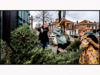 02012024-Kerstbomen-en-vuurwerk-inleveren-Vogelplein-Dordrecht-Stolkfotografie