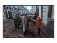 02012026-Inleveren-van-kerstbomen-Wijnstraat-Dordrecht-Stolkfotografie-001