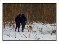 08012026-Wandelaars-lopen-door-de-sneeuw-in-De-Elzen-Dordrecht-Stolkfotografie-002