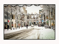 05012026-Wintersweer-na-sneeuwval-in-Dordrecht-Stolkfotografie-004