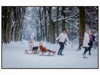 06012026-Winterse-beelden-vanaf-Landgoed-Lievensberg-in-Bergen-op-Zoom-Stolkfotografie-006