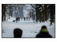 06012026-Winterse-beelden-vanaf-Landgoed-Lievensberg-in-Bergen-op-Zoom-Stolkfotografie-008
