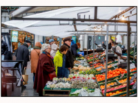09012026-Dordtse-Weekmarkt-Statenplein-Dordrecht-Stolkfotografie-001