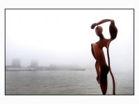 21012025-Zwijndrecht-verdwijnt-in-de-dichte-mist-oude-maas-Dordrecht-Stolkfotografie