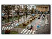 20022026-Spuiboulevard-zet-stap-naar-klimaatbestendige-toekomst-met-39-bomen-Dordrecht-Stolkfotografie