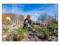 27022024-Groenblauw-schoolplein-voor-IKC-De-Repelaer-Dordrecht-Stolkfotografie