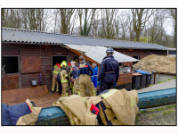 17032026-Brandweer-helpt-ouder-paard-weer-overeind-aan-de-Zuidendijk-in-Dordrecht-Stolkfotografie-001