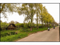 18042025-Boomgaard-Oudendijk-Dordrecht-Stolkfotografie-001