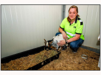 24042026-Louterbloemen-haalt-verweesde-geit-op-uit-kapsalon-Dordrecht-Stolkfotografie-002-kopie