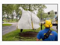 23052024-Kunstbeelden-Geel-Groen-Staart-op-de-Baanhoekweg-neergezet-Dordrecht-Stolkfotografie-001