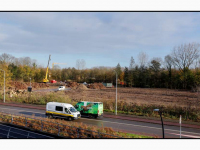17112025-Bomen-omgekapt-vanwege-toekomstige-woningen-fase-3-4-Dordts-Buiten-Laan-van-Londen-Dordrecht-Stolkfotografie