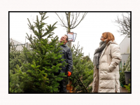 05122025-Tijd-voor-de-kerstbomen-Tuinwereld-Dordrecht-Stolkfotografie-002