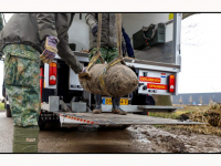 09122025-500 ponder-Bommerwerper-Explosief-tot-ontploffing-gebracht-Dordtse-kil-Dordrecht-Stolkfotografie-010