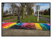 1012025-Regenboogpad-opnieuw-vernield-Veerweg-Papendrecht-Stolkfotografie-003