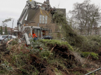 Bossschages worden weggehaald Weizigtpark Dordrecht