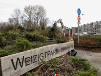 Bossschages worden weggehaald Weizigtpark Dordrecht