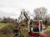 Bossschages worden weggehaald Weizigtpark Dordrecht