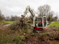 Bossschages worden weggehaald Weizigtpark Dordrecht