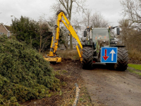 Bossschages worden weggehaald Weizigtpark Dordrecht