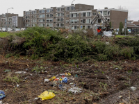 Bossschages worden weggehaald Weizigtpark Dordrecht