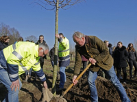 20182202-Wethouder-Kees-Koppenol-plant-namens-de-gemeente-een-boom-Park-Noordhoekse-Wiel-Papendrecht-Tstolk-001