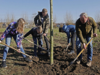 20182202-Wethouder-Kees-Koppenol-plant-namens-de-gemeente-een-boom-Park-Noordhoekse-Wiel-Papendrecht-Tstolk-003