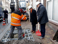 Wethouders planten nieuwe boom Museumstraat Dordrecht